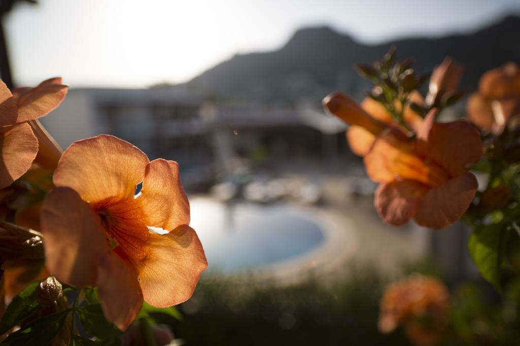 Genc Hotel Bodrum Room photo